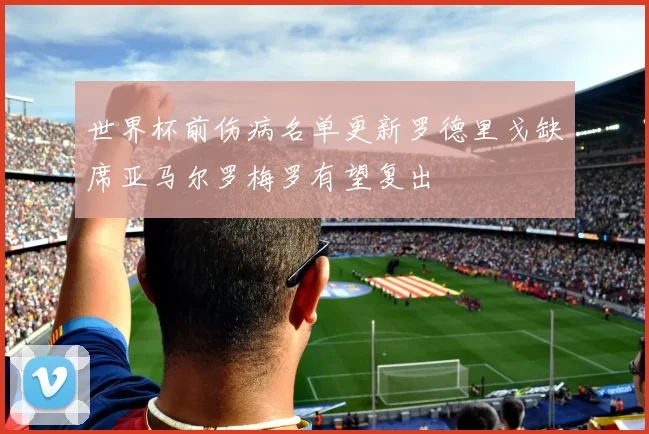 世界杯前伤病名单更新罗德里戈缺席亚马尔罗梅罗有望复出